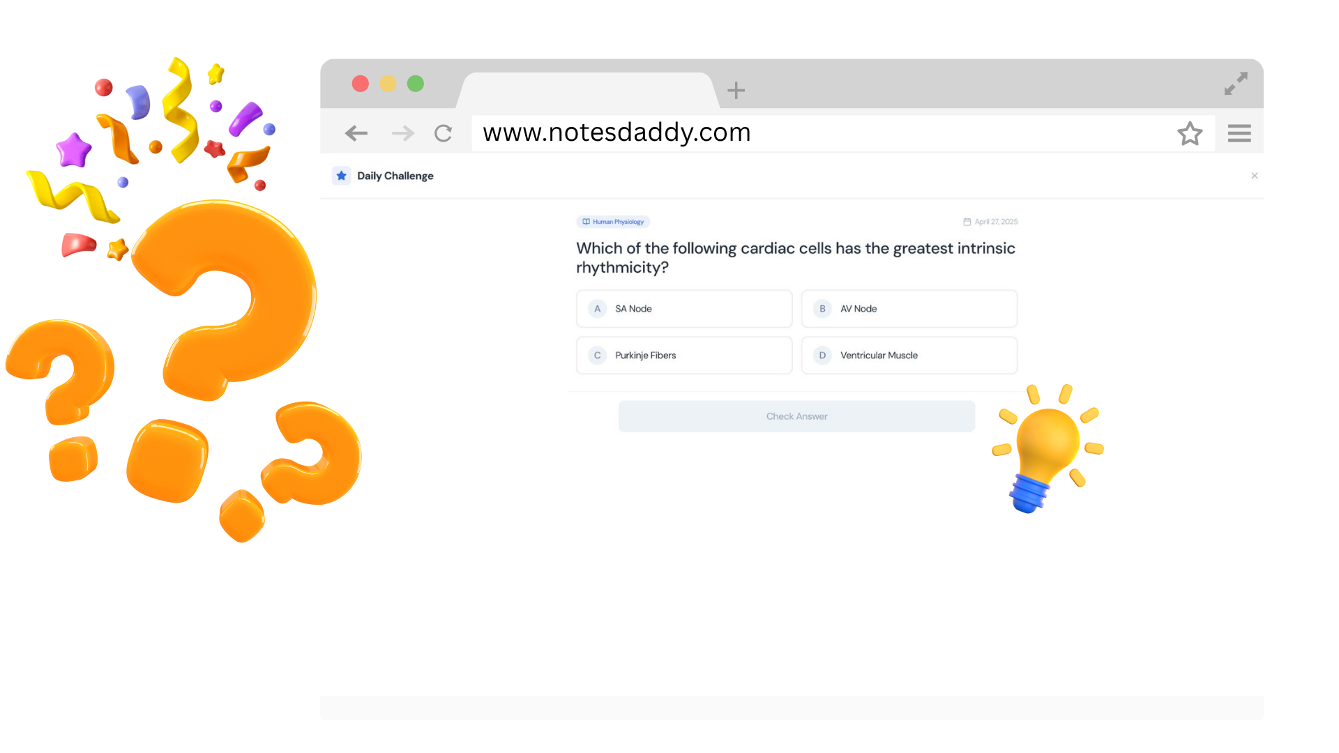 Interactive <strong>Quizzes</strong>